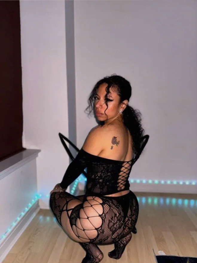 Piper